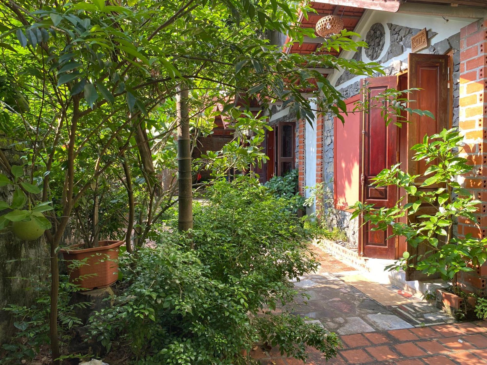 Tam Coc Ngo Dong Homestay Νιν Μπιν Εξωτερικό φωτογραφία